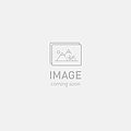 Specialized ELE MOTOR, SL SYSTEM, SPECIALIZED SL 1.2 MOTOR (M20) (50NM)