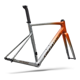 Allez Sprint Frameset - D'Aluisio Smartweld Alloy
