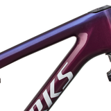 S-Works Epic 9 Frameset