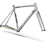 Crux DSW Frameset - D'Aluisio Smartweld Alloy