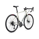 Specialized Allez Shimano CUES Dune White / Deep Lake rear detail