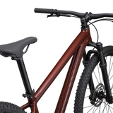 Rockhopper Expert 27.5