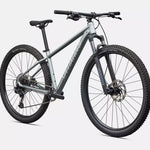 Specialized Rockhopper Comp - Satin Shadow Silver / Silver Dust front detail