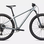 Specialized Rockhopper Comp - Satin Shadow Silver / Silver Dust