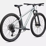 Specialized Rockhopper Comp - Satin Shadow Silver / Silver Dust rear detail