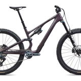 Stumpjumper 15 EVO Expert - SRAM GX AXS, FOX Performance Elite