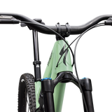 Stumpjumper 15 EVO Expert - SRAM GX AXS, FOX Performance Elite