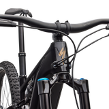 Turbo Levo R Expert