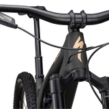 Stumpjumper EVO LTD - SRAM GX Eagle AXS, RockShox Ultimate
