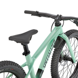 Riprock 20