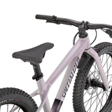 Riprock 20
