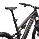 S-Works Turbo Levo SL 2
