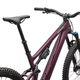 Turbo Levo SL 2 Expert