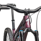 Turbo Levo SL 2 Expert
