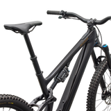 Turbo Levo SL 2 Expert
