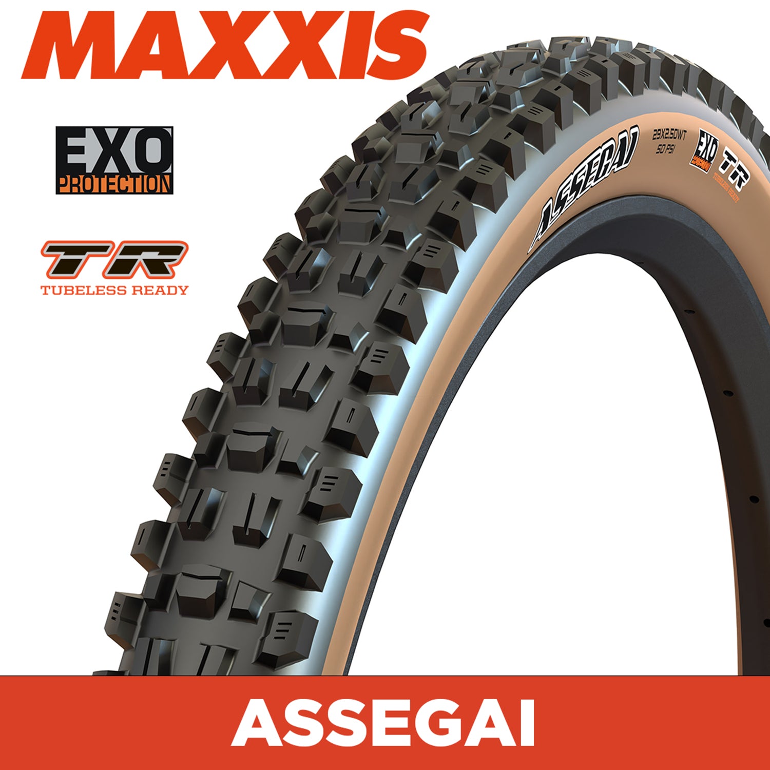 Maxxis Assegai Tyre - 27.5X2.60 - EXO / TR / Tanwall - Foldable 60 TPI E25 at Spoke N Trail
