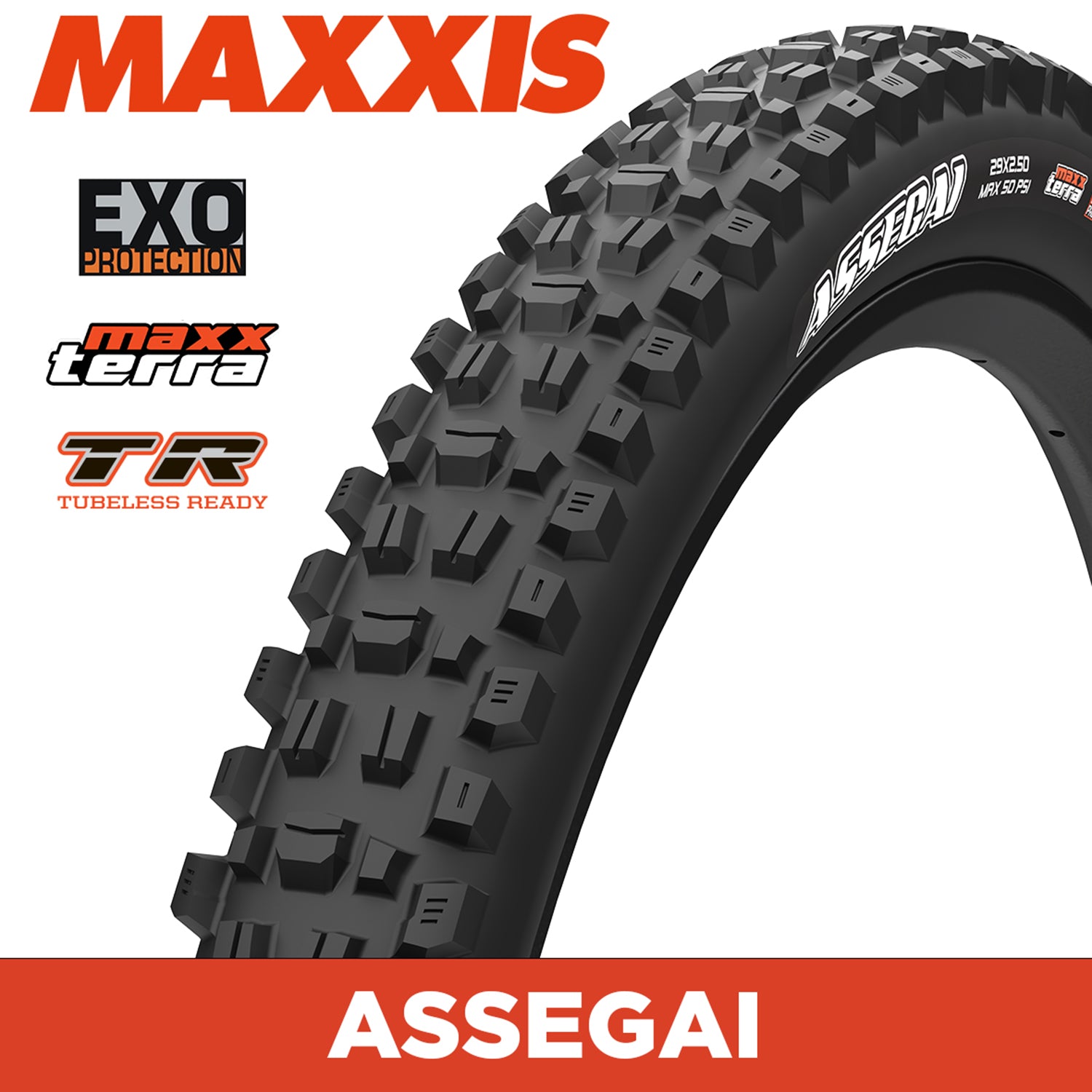 Maxxis Assegai Tyre - 27.5X2.50 - MaxxTerra / EXO / TR - Foldable 60 TPI E25 at Spoke N Trail