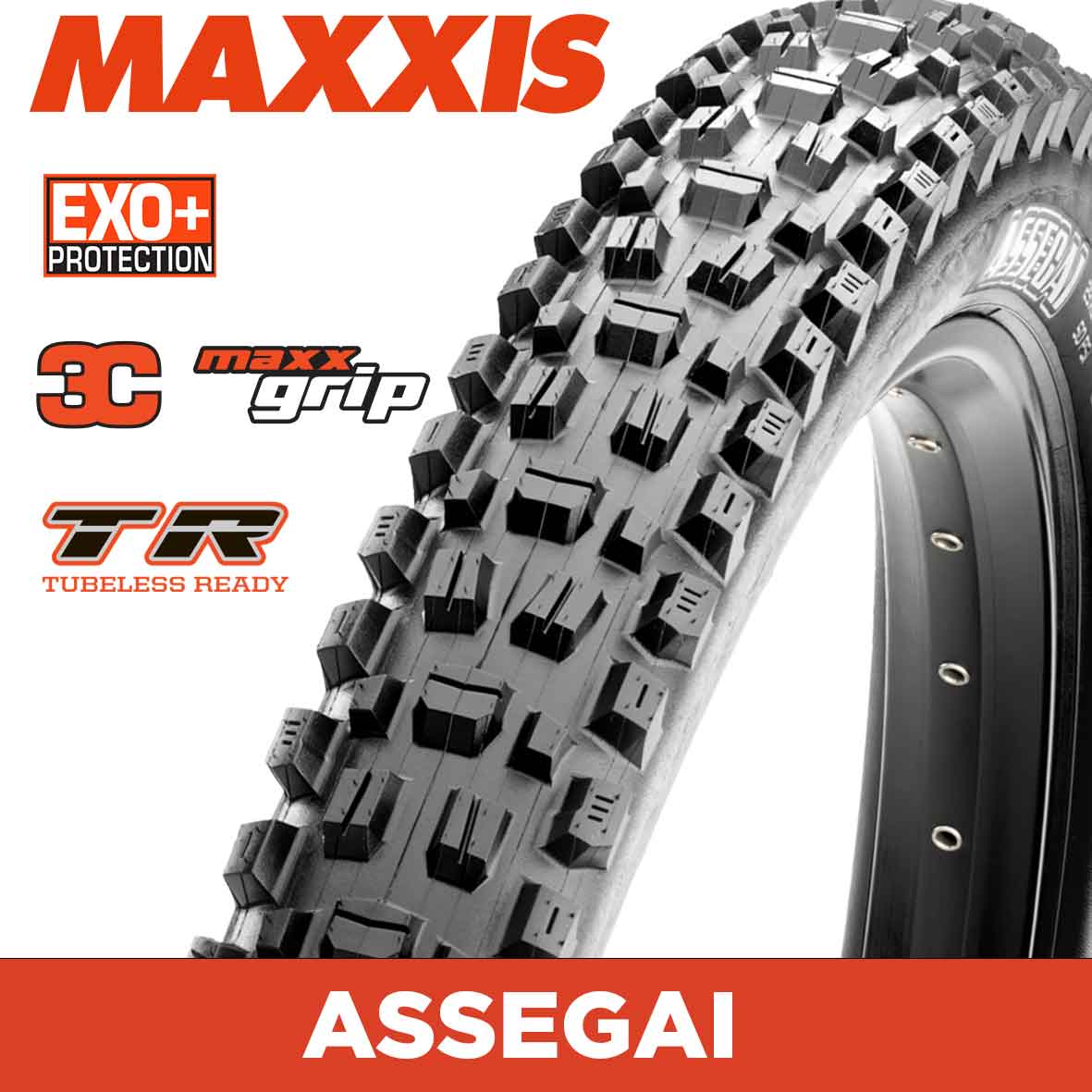 Maxxis Assegai Tyre - 29X2.50 - 3C MaxxGrip / EXO+ / TR - Foldable 60 TPI E25 at Spoke N Trail