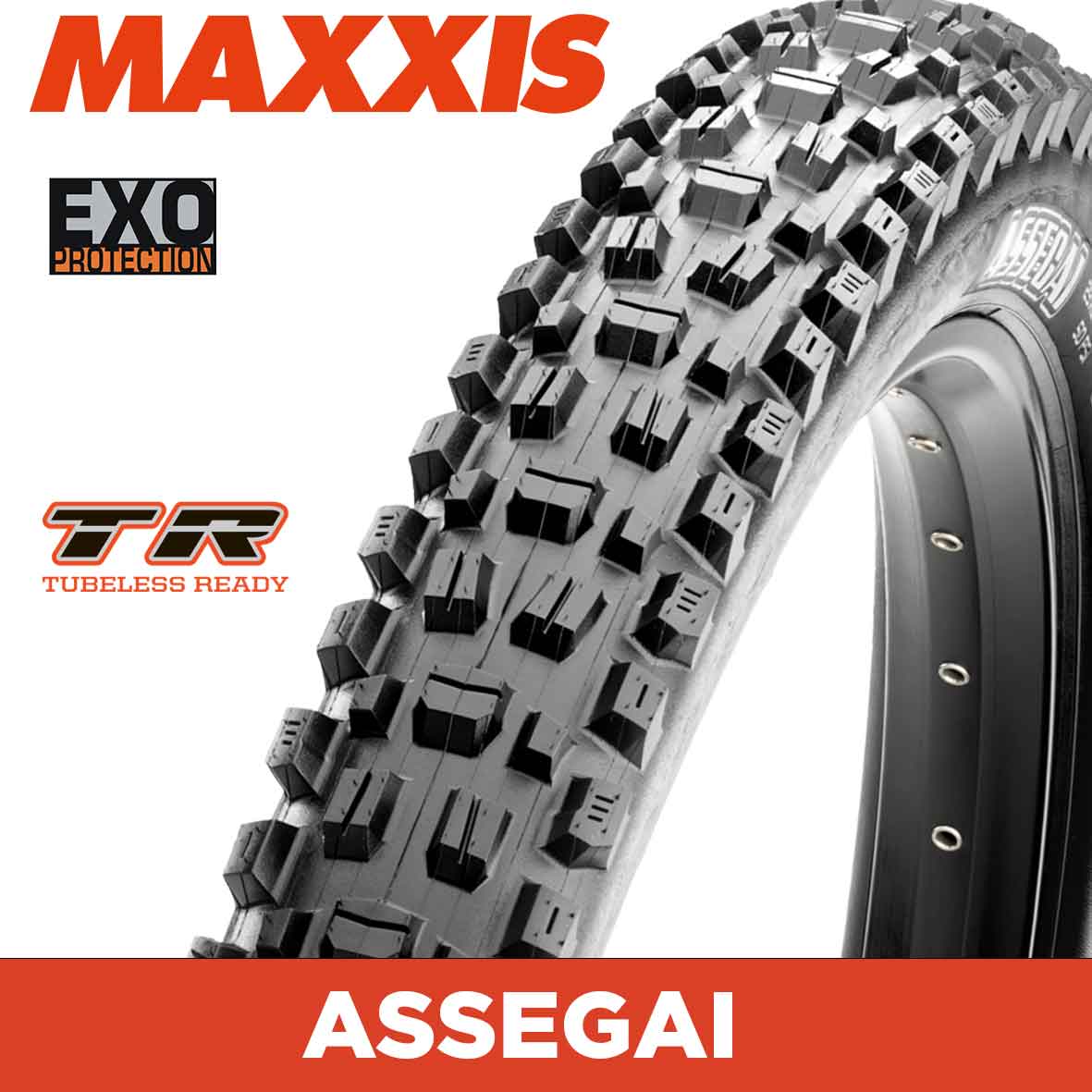 Maxxis Assegai Tyre - 29X2.50 - EXO / TR - Foldable 60 TPI E25 at Spoke N Trail