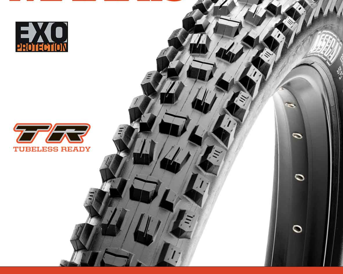 Maxxis Assegai Tyre - 29X2.50 - EXO / TR - Foldable 60 TPI E25 at Spoke N Trail