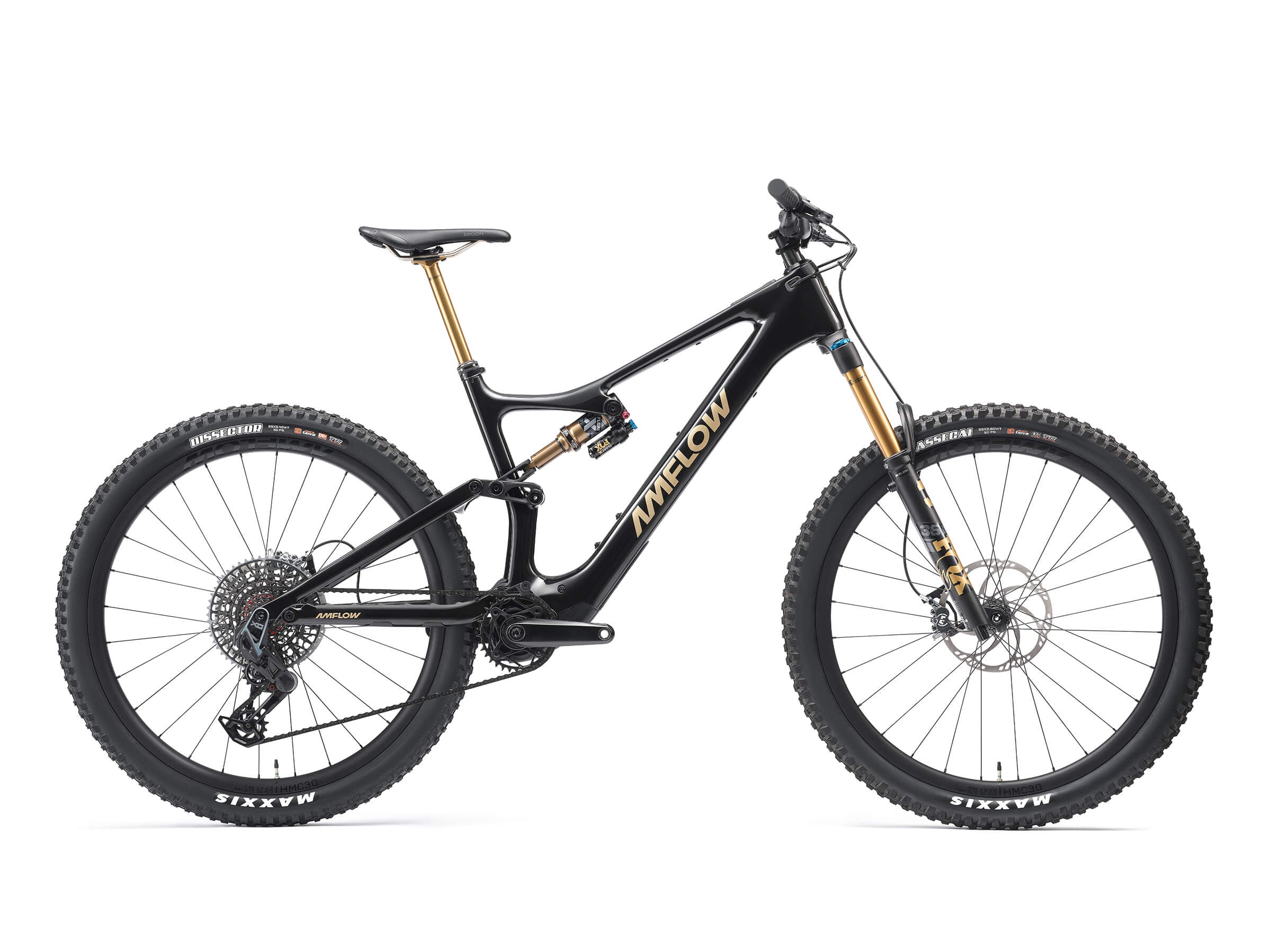 Amflow PL Carbon Pro electric mountain bike