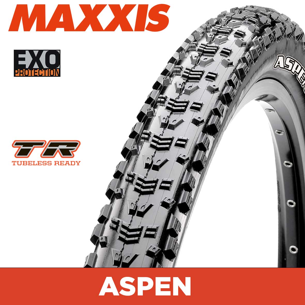 Maxxis Aspen Tyre - 29X2.25 - EXO / TR - Foldable 120 TPI E25 at Spoke N Trail
