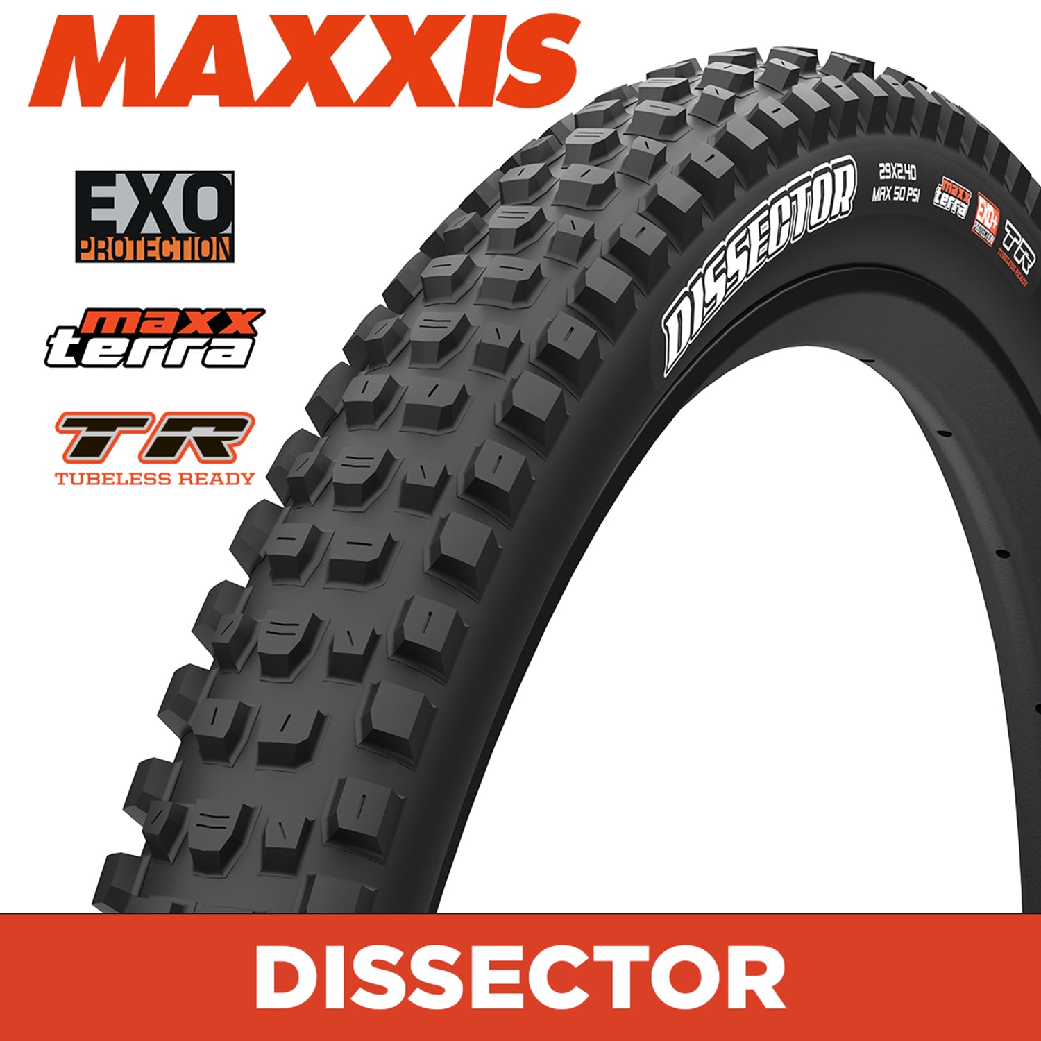 Maxxis Dissector Tyre - 29X2.40 - MaxxTerra / EXO / TR - Foldable 60 TPI E50 at Spoke N Trail
