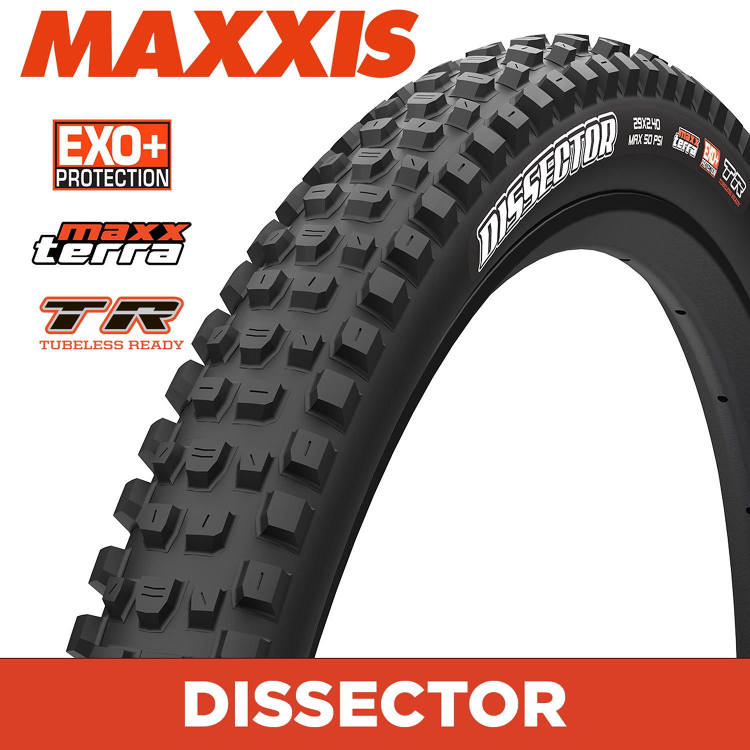 Maxxis Dissector Tyre - 29X2.40 - MaxxTerra / EXO+ / TR - Foldable 60 TPI E50 at Spoke N Trail