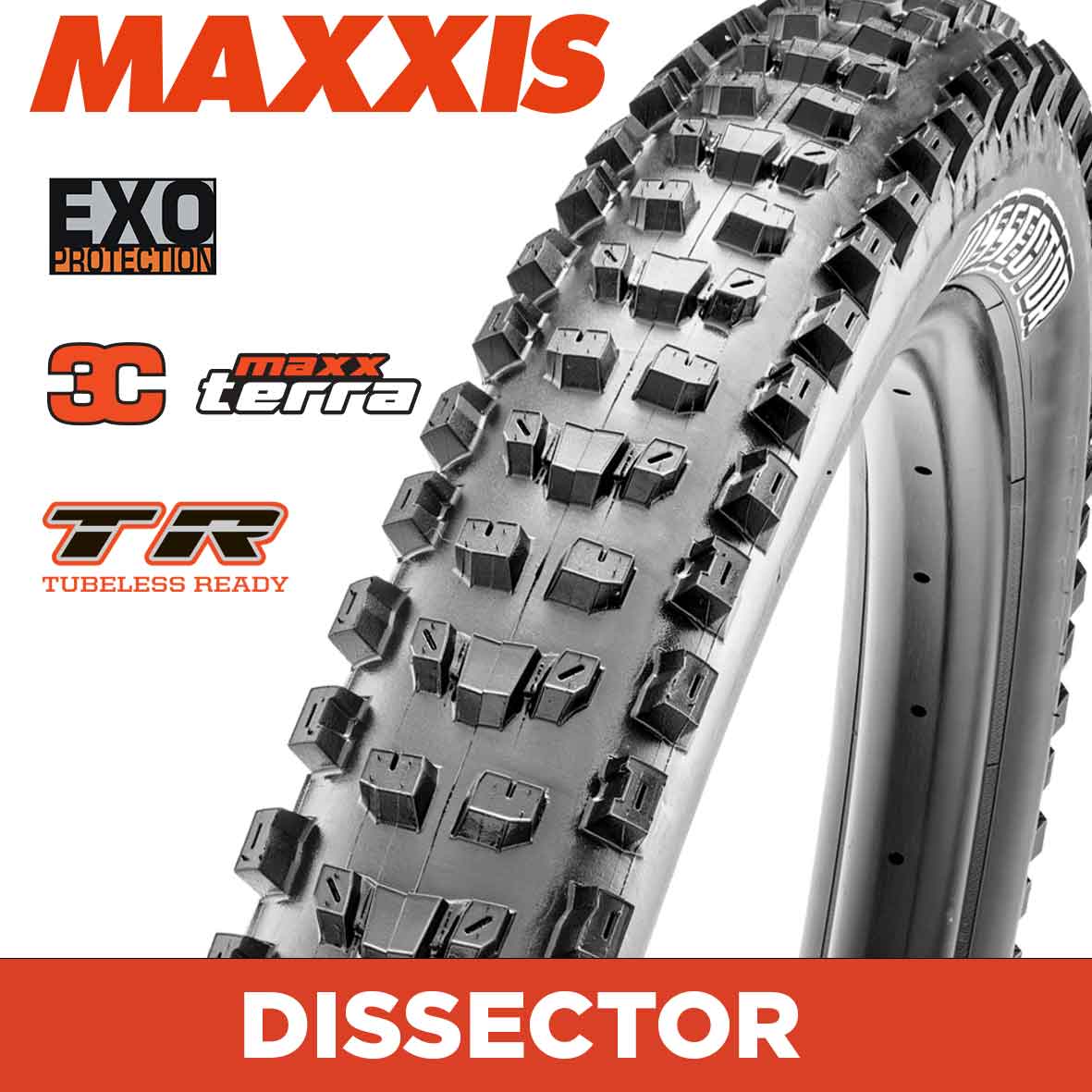 Maxxis Dissector Tyre - 29X2.40 - 3C MaxxTerra / EXO / TR - Foldable 60 TPI E25 at Spoke N Trail