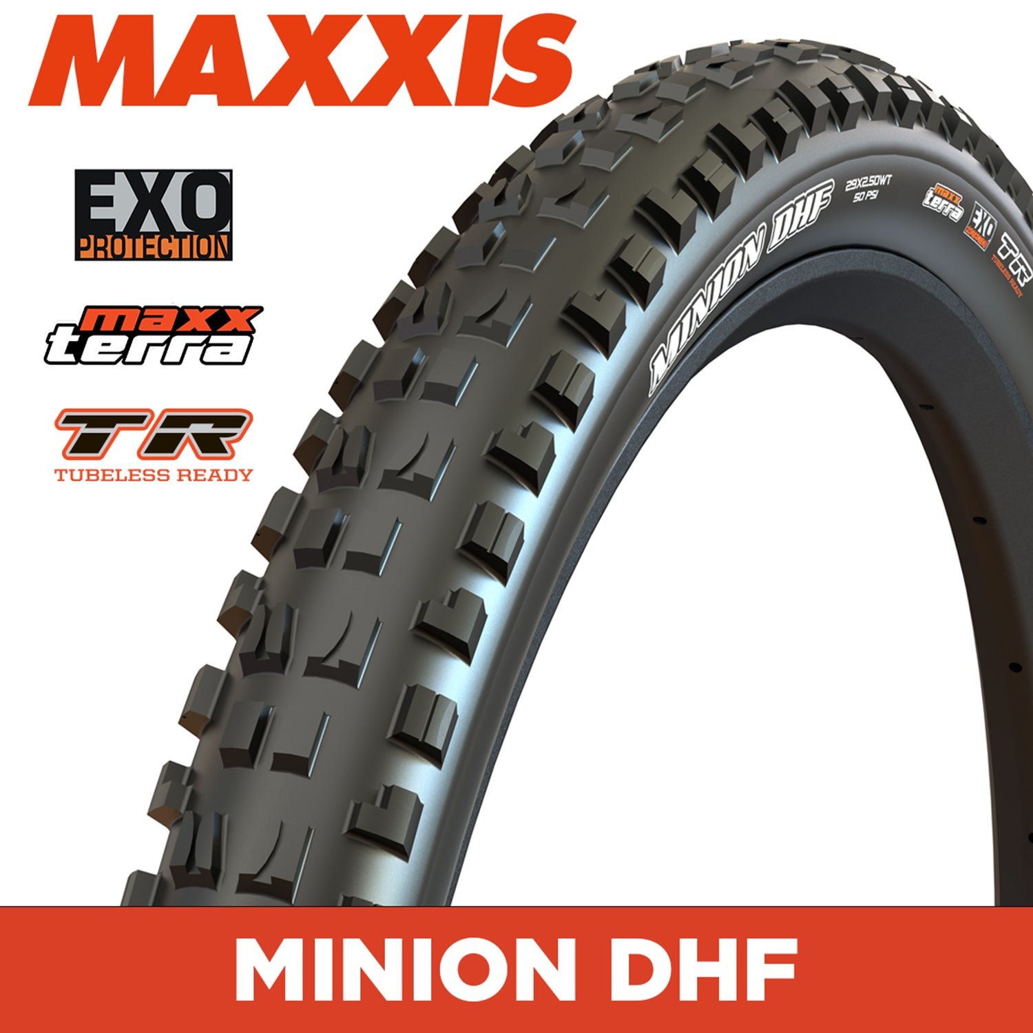 Maxxis Minion DHF Tyre - 24X2.40 - MaxxTerra / EXO / TR - Foldable 120 TPI E25 at Spoke N Trail