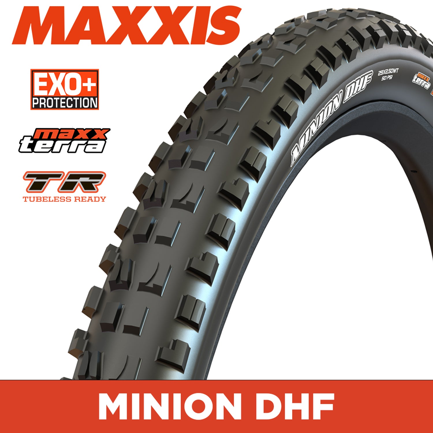 Maxxis Minion DHF Tyre - 27.5X2.50 - MaxxTerra / EXO+ / TR - Foldable 60 TPI E25 at Spoke N Trail