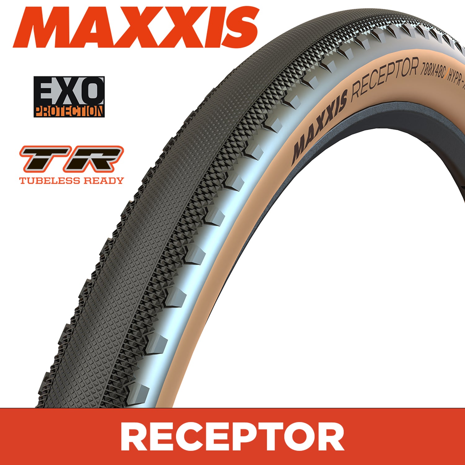 Maxxis Receptor Tyre - 650X47B - EXO / TR / Tanwall - Foldable 120 TPI E25 at Spoke N Trail