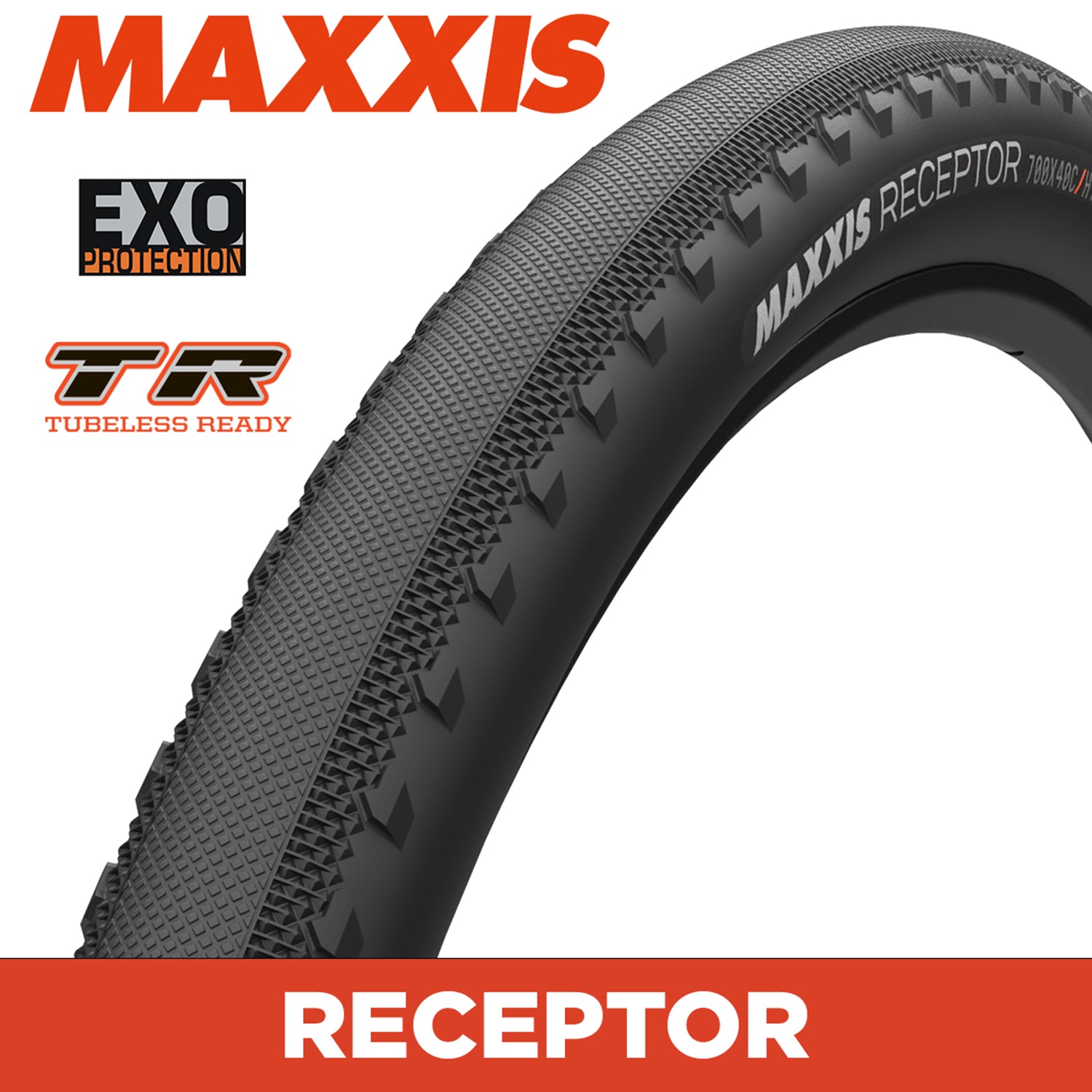 Maxxis Receptor Tyre - 650X47B - EXO / TR - Foldable 120 TPI E25 at Spoke N Trail
