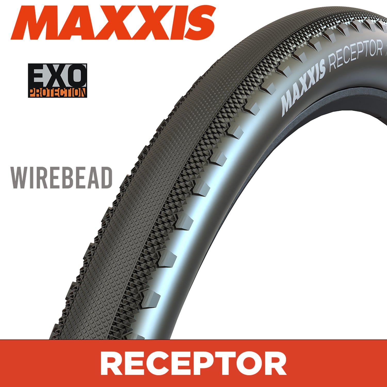 Maxxis Receptor Tyre - 700X40C - EXO - Wire 60 TPI at Spoke N Trail