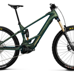 Orbea Wild M-LTD - Seaweed Carbon View Matt