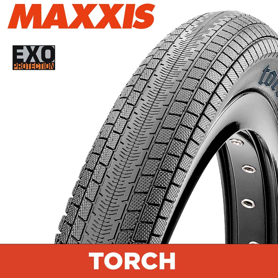 Maxxis Torch Tyre - 20X1.75 - EXO - Foldable 120 TPI at Spoke N Trail