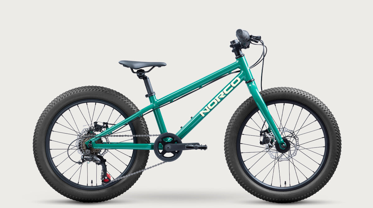 Norco Storm 20 Disc Green