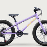 Norco Storm 20 Disc Purple