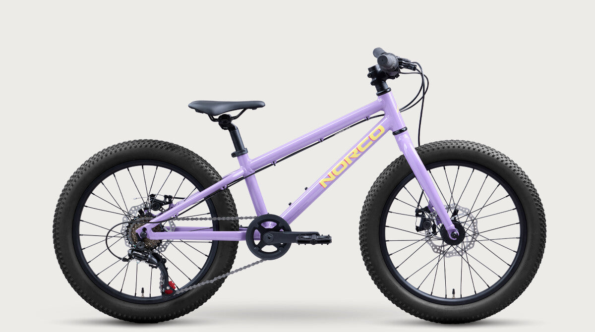 Norco Storm 20 Disc Purple