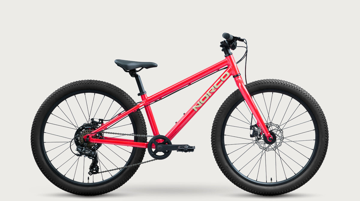 Norco Storm 24 Disc Red