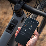 Amflow PR Carbon Avinox app and cockpit detail