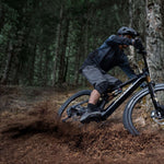 Amflow PL Carbon Pro trail riding action image
