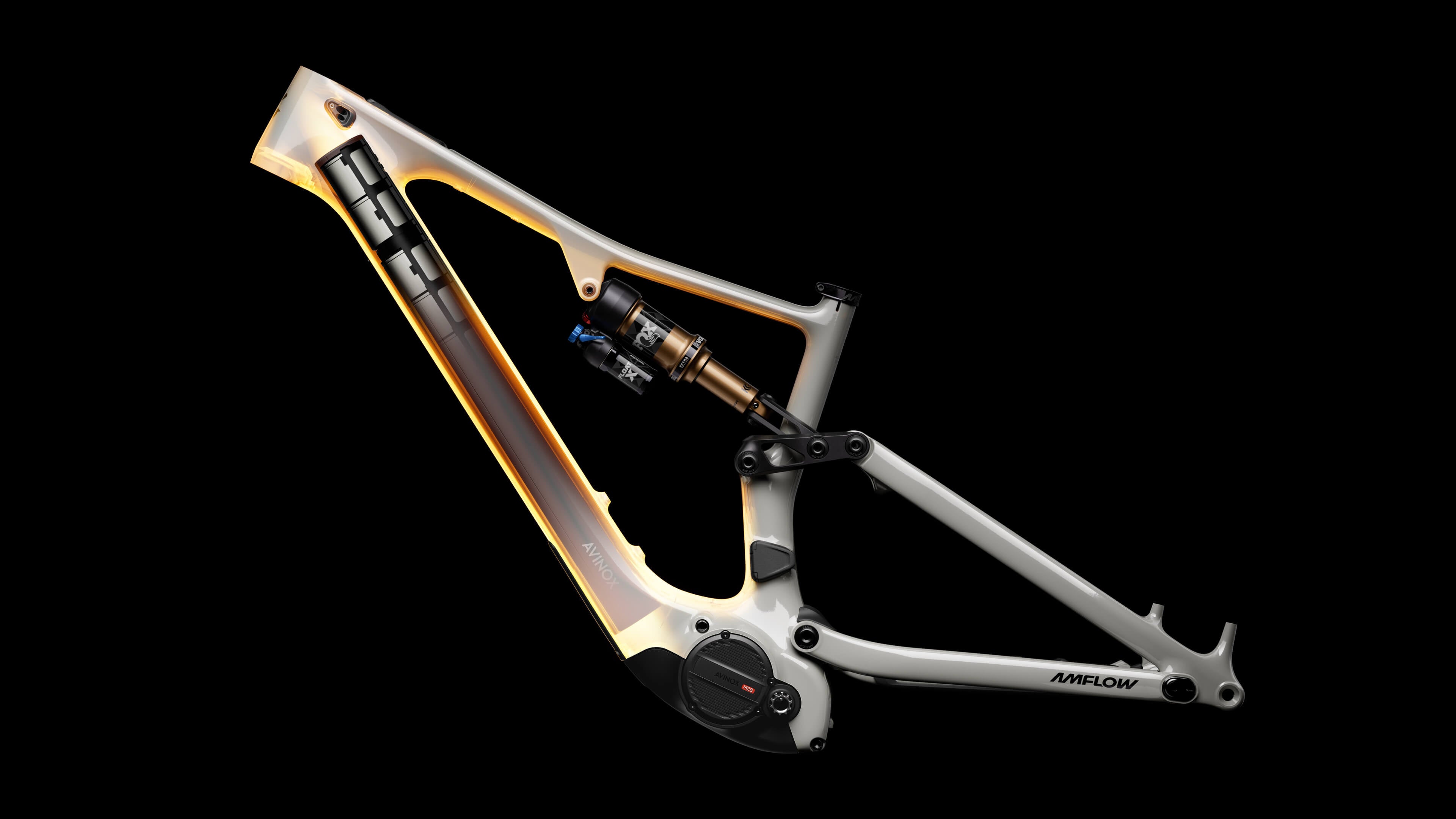 Amflow PX Carbon Pro carbon frame and motor detail