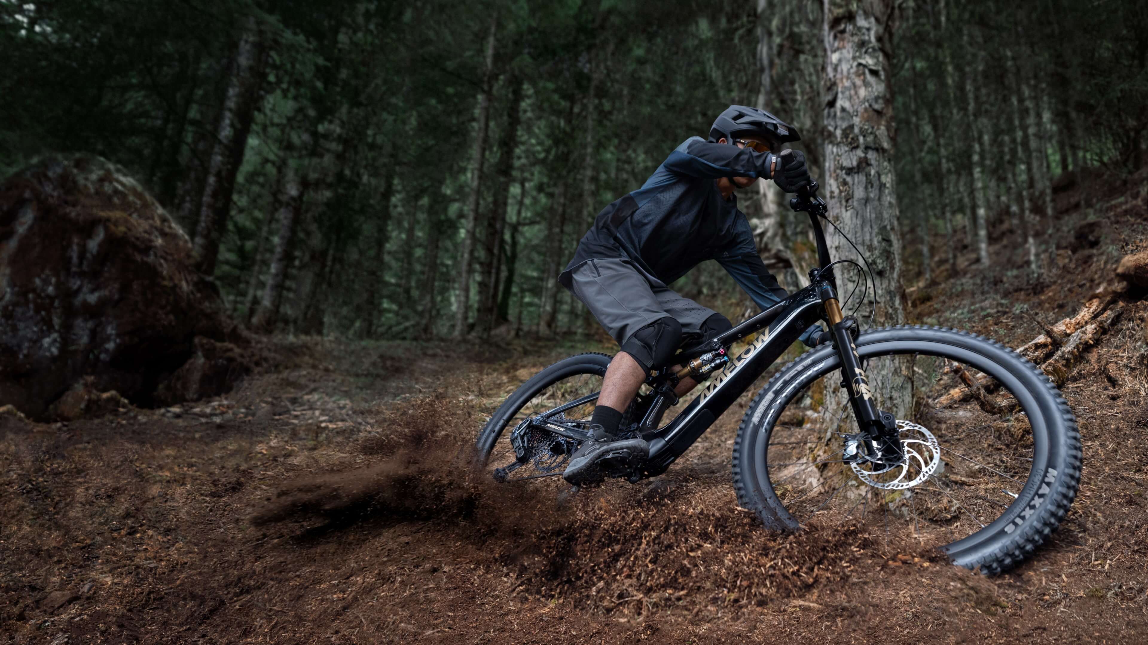 Amflow PL Carbon trail riding action image