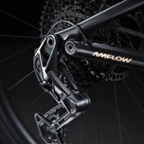 Amflow PL Carbon Pro drivetrain detail