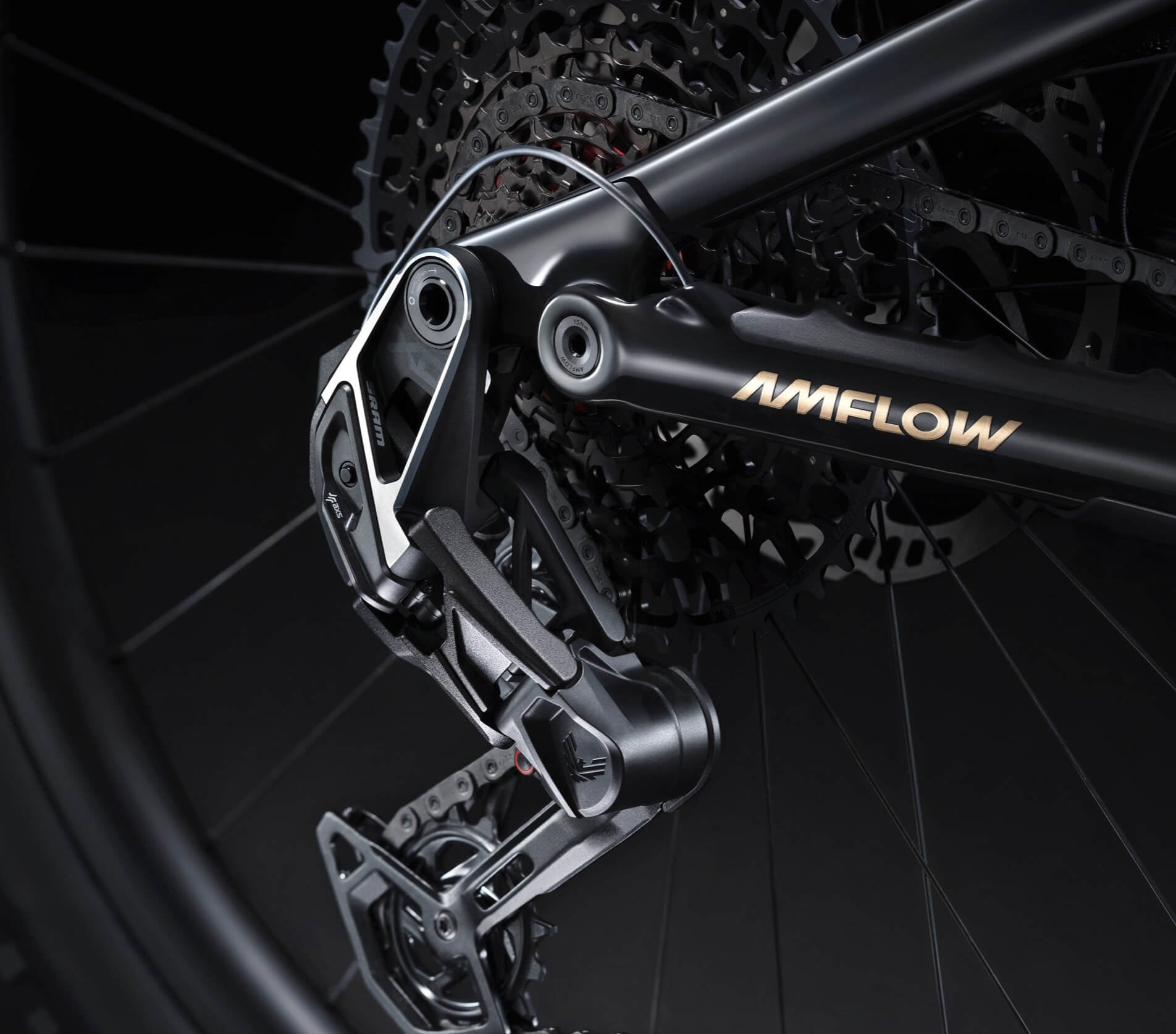Amflow PL Carbon drivetrain detail