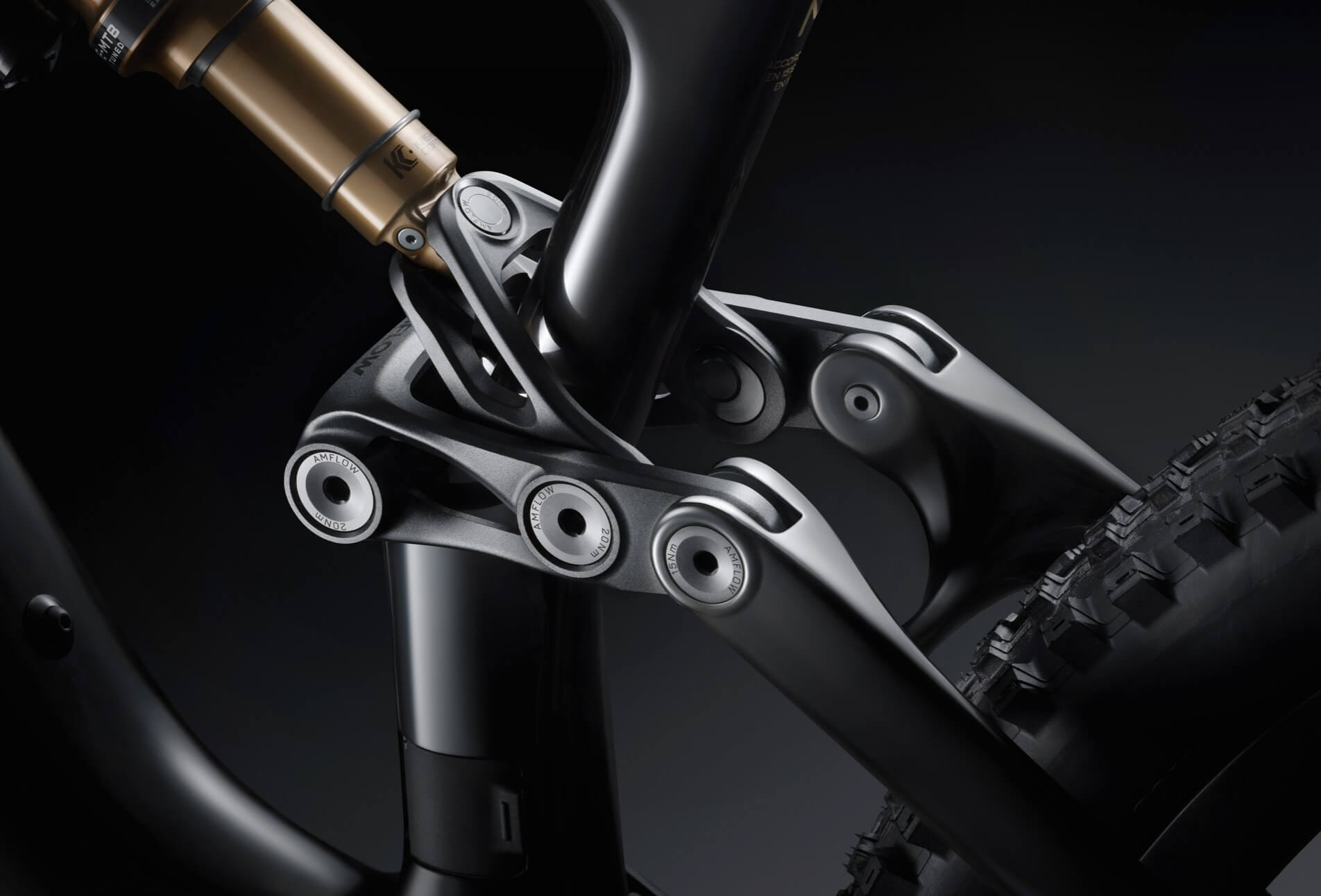 Amflow PL Carbon Pro suspension linkage detail