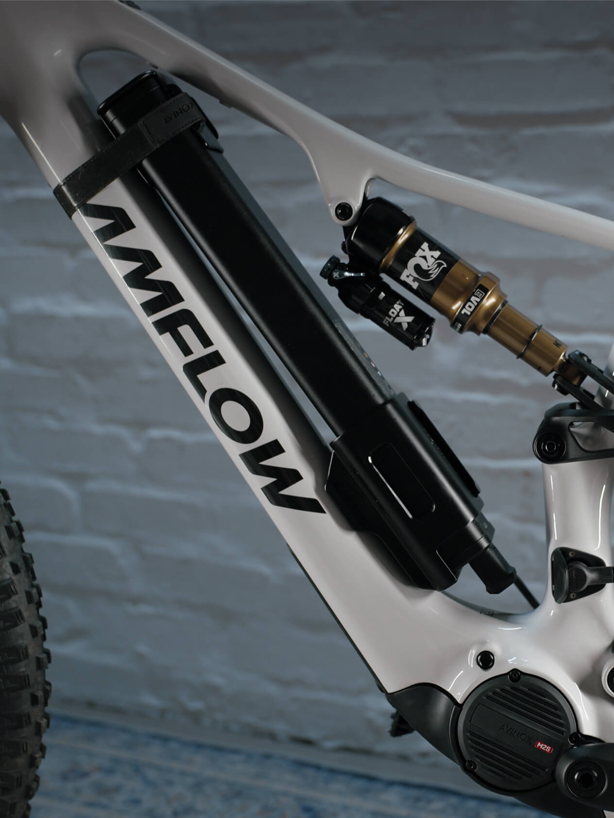 Amflow PX Carbon battery and suspension detail